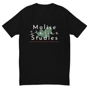 Men's Fitted T-Shirt | Next Level